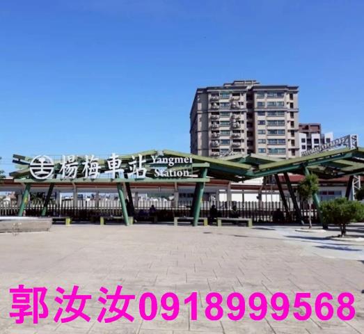 楊梅華廈-11