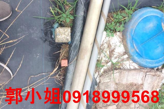 台南農地-1