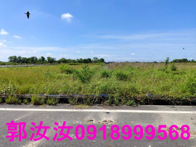 鹽水農地-7