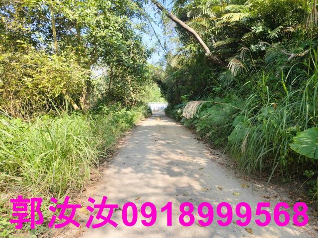 台南白河農地-9