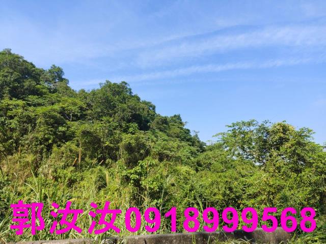 台南白河農地-11