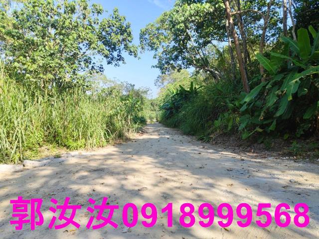 台南白河農地-12