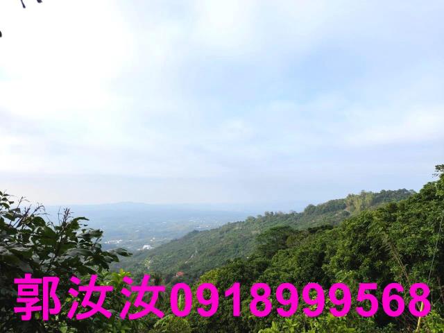 南化山坡地-10