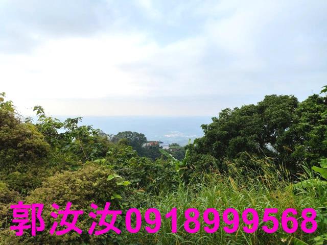 南化山坡地-2