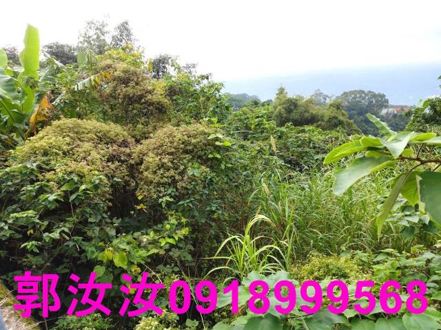 南化山坡地-3