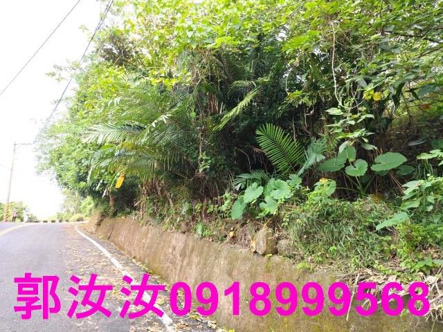 南化山坡地-5