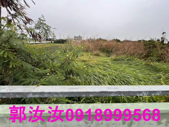 將軍建地-8