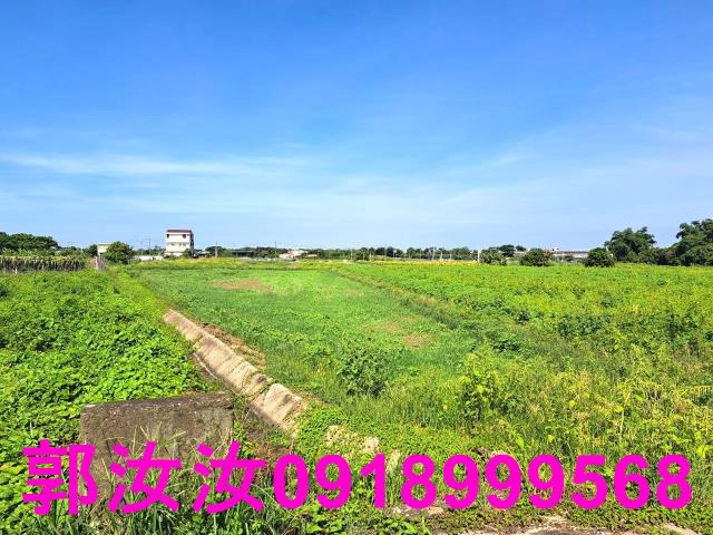 台南柳營農地-7