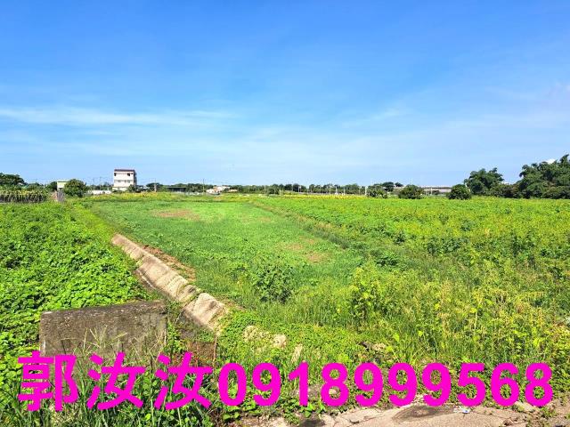 台南柳營農地-8