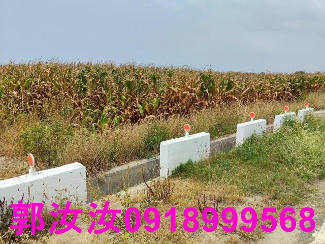 佳里農地-5