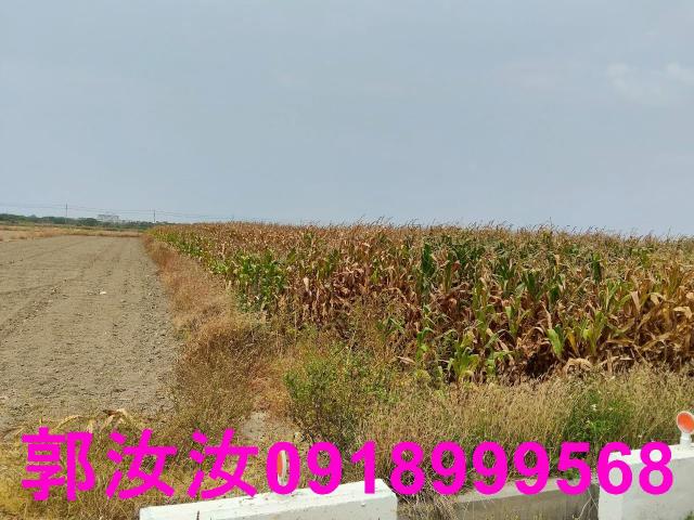 佳里農地-6