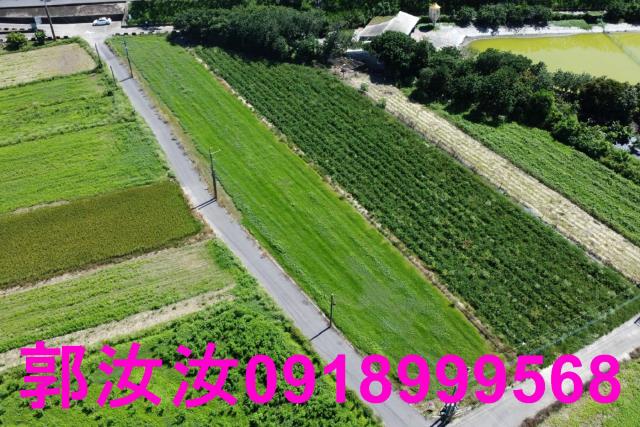 仁德農地-9