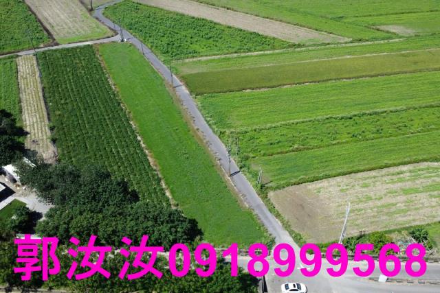 仁德農地-6