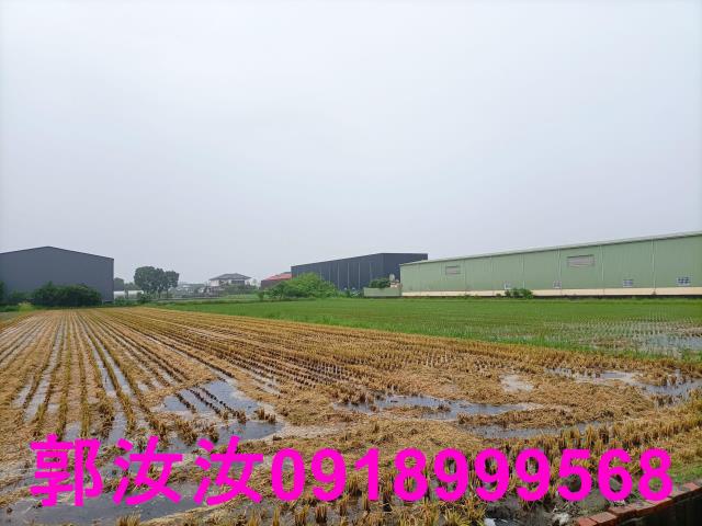 歸仁農地-11