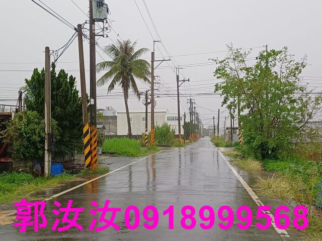 歸仁農地-5