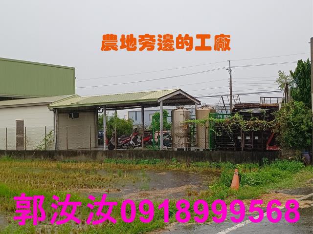 歸仁農地-6