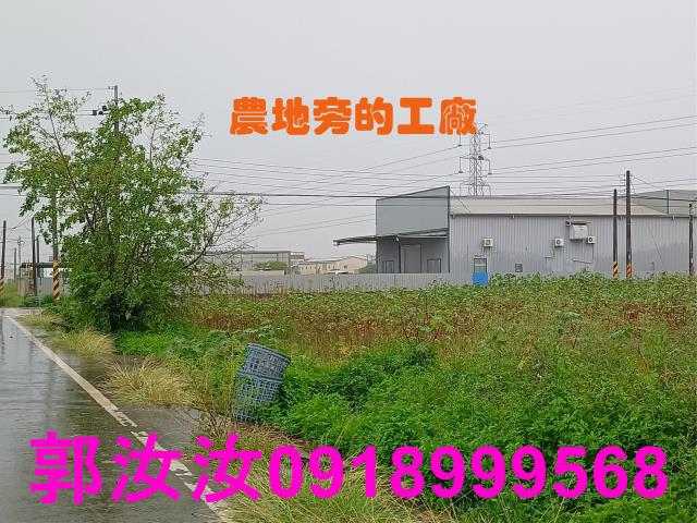 歸仁農地-7