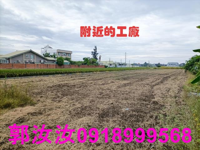 歸仁農地-1