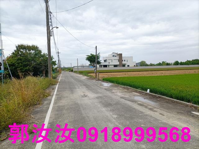 歸仁農地-3