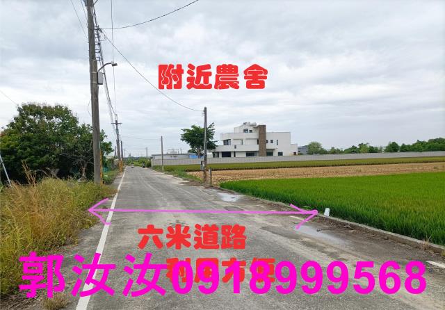 歸仁農地-4