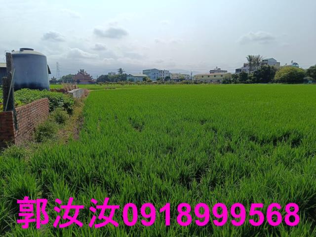白河農地-9