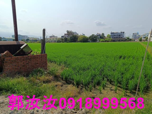 白河農地-7