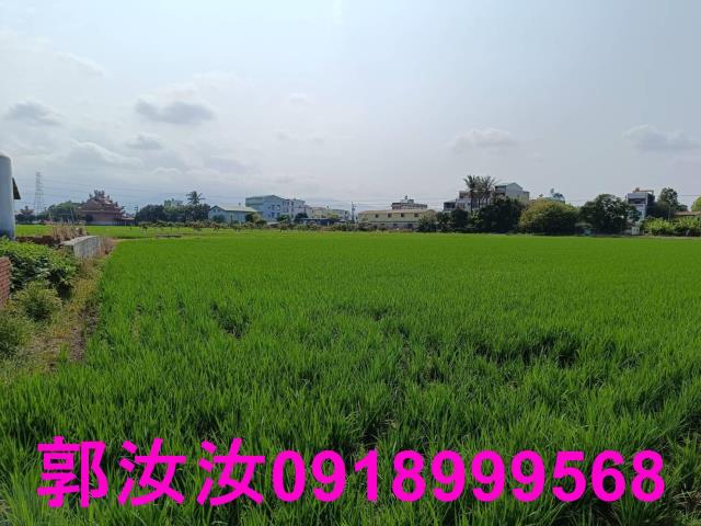 白河農地-8