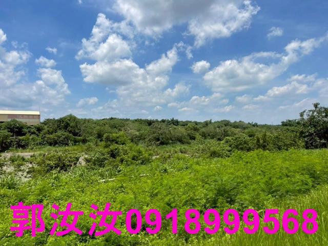 台南玉井農地-9