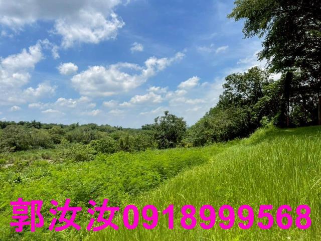 台南玉井農地-10