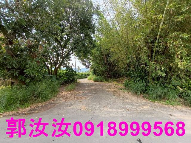 台南楠西農地-2