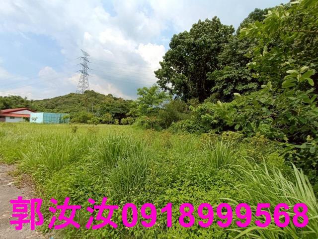 台南楠西農地-6