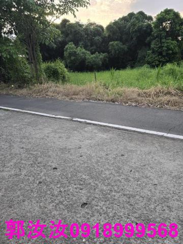 台南歸仁農地-9
