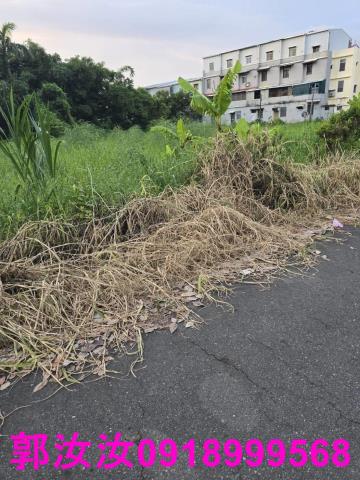 台南歸仁農地-10