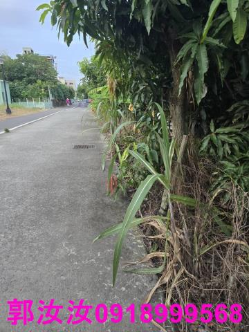 台南歸仁農地-3