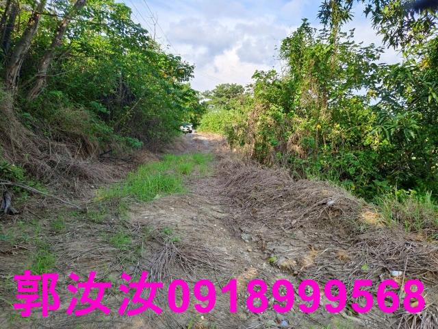 關廟農地-10