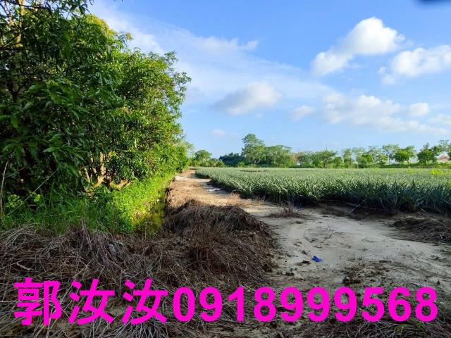 關廟農地-12