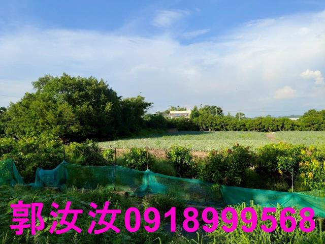 關廟農地-1