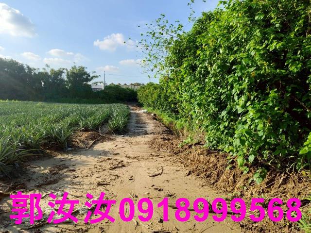 關廟農地-4