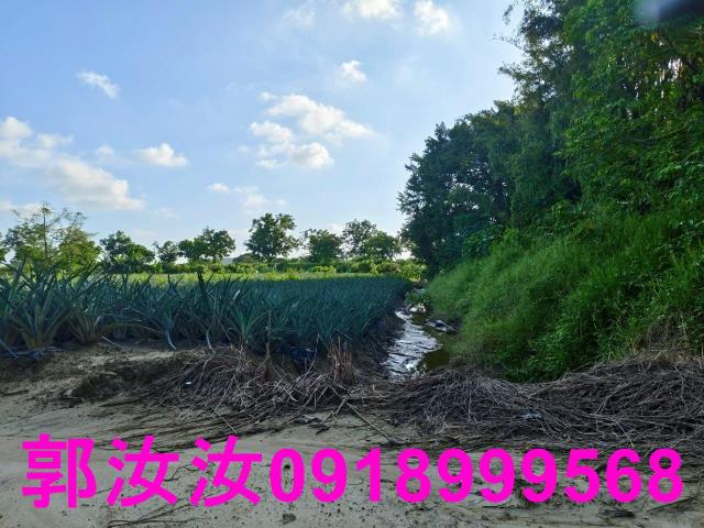 關廟農地-7