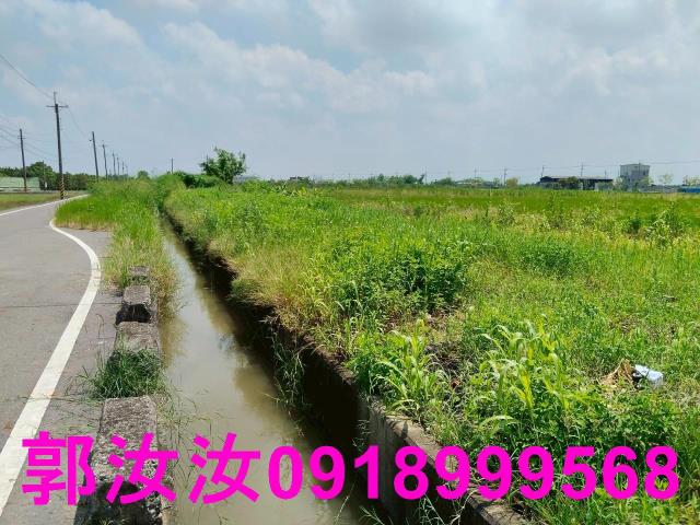 麻豆農地-1