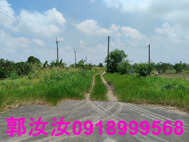 麻豆農地-2
