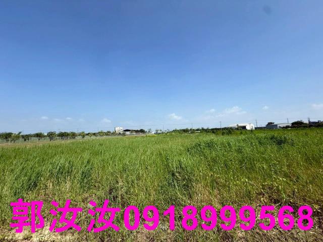 麻豆農地-5