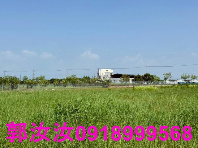 麻豆農地-6