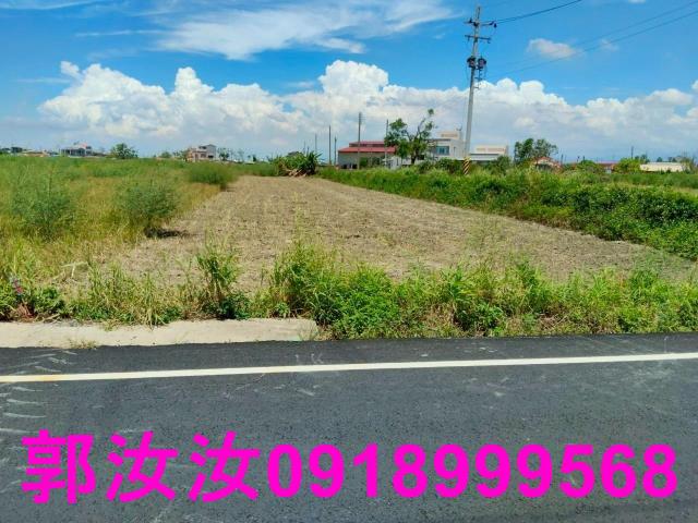 台南鹽水農地-3