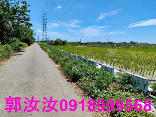 台南柳營農地-3