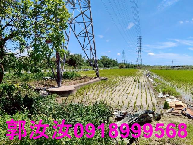 台南柳營農地-7