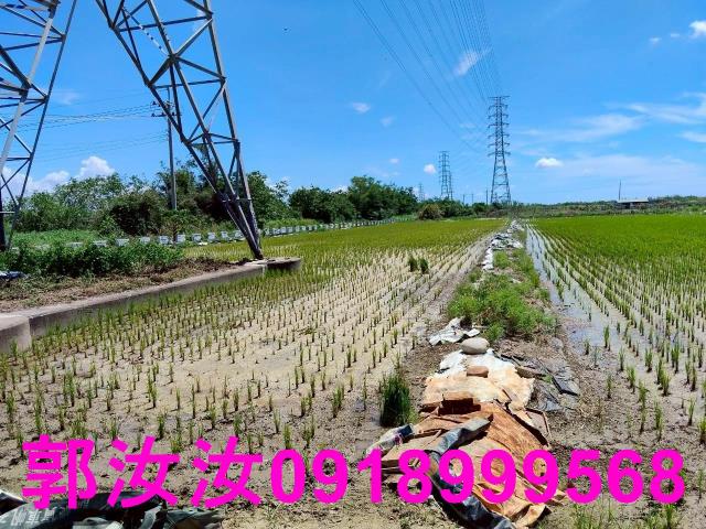 台南柳營農地-8