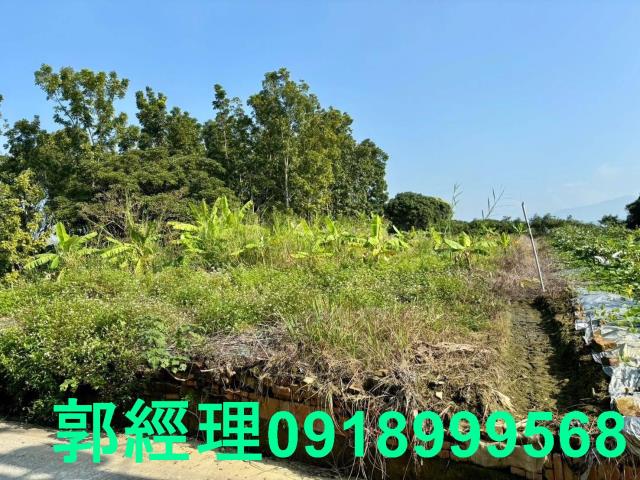台南南化農地-11