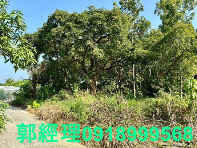 台南南化農地-2
