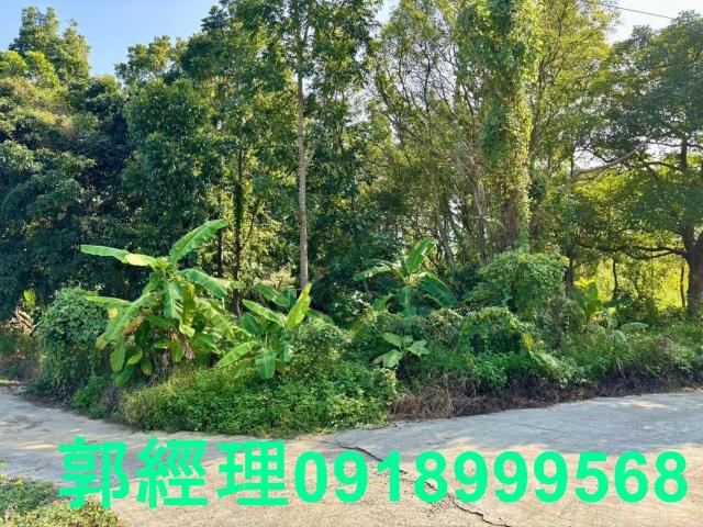 台南南化農地-4